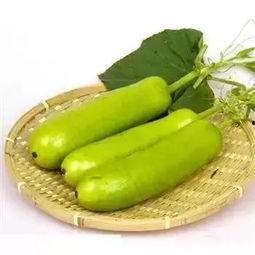 吃蒲瓜会中毒吗视频播放,视频揭示真相