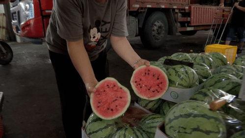 舟山吃瓜现场事件视频,一场引发热议的街头冲突瞬间