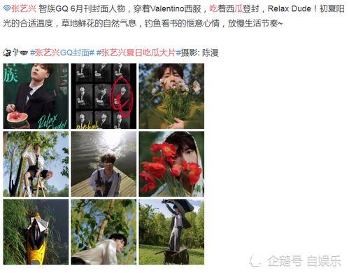 吃瓜视频大全甜蜜来袭,吃瓜视频大全精彩盘点