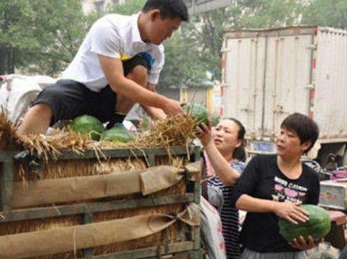 旺柴新津吃瓜视频,揭秘娱乐圈最新热点事件