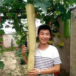 农村女人吃瓜视频大全下载,趣味横生的乡村生活瞬间