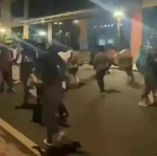 表哥扫楼吃瓜视频大全集,揭秘娱乐圈幕后风云