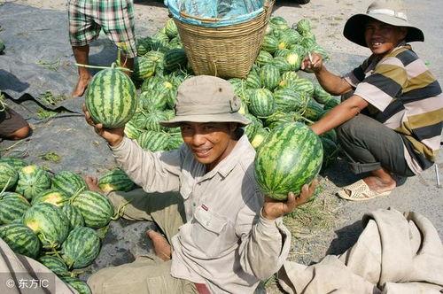 中华大街吃瓜事件视频大全,视频大全揭秘现场瞬间