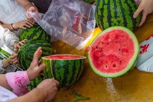 我们家吃瓜的视频,一起吃瓜的温馨瞬间  第2张