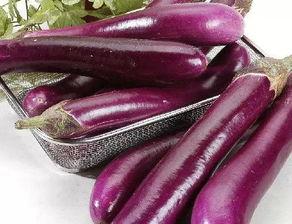 王小九吃茄瓜是哪一集视频,揭秘美食背后的趣味故事 第2张 王小九吃茄瓜是哪一集视频,揭秘美食背后的趣味故事 第2张