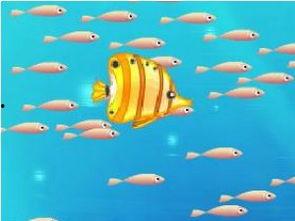 吃瓜小鱼的视频下载,轻松获取热门内容 第2张 吃瓜小鱼的视频下载,轻松获取热门内容 第2张