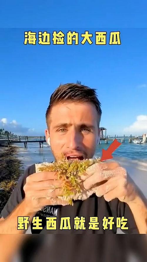 吃瓜搞笑音乐配音视频,吃瓜搞笑音乐配音视频，带你领略欢乐无限