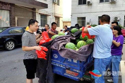 湘乡吃瓜事件视频曝光,视频曝光揭示惊人真相