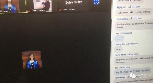 羊村吃瓜事件视频播放,一场网络狂欢背后的真相揭秘  第2张