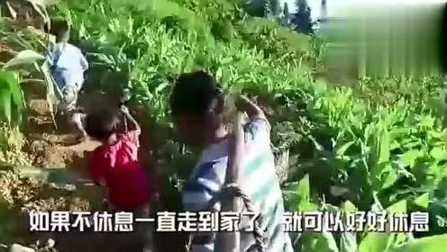 德州高师事件吃瓜视频,吃瓜群众视角下的校园风云录  第2张