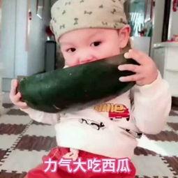 吃瓜唠嗑视频图片高清,揭秘热门视频背后的幕后故事 第3张 吃瓜唠嗑视频图片高清,揭秘热门视频背后的幕后故事 第3张