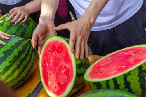 学院吃瓜视频网站,吃瓜视频网站背后的故事 第2张 学院吃瓜视频网站,吃瓜视频网站背后的故事 第2张