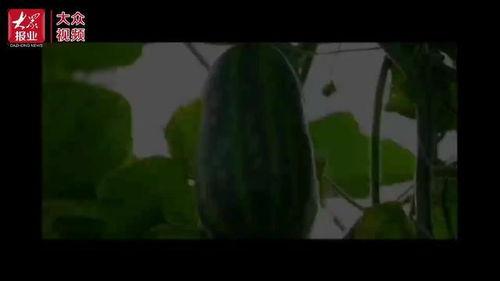 靖远吃瓜群众视频最新,最新视频事件揭秘  第2张