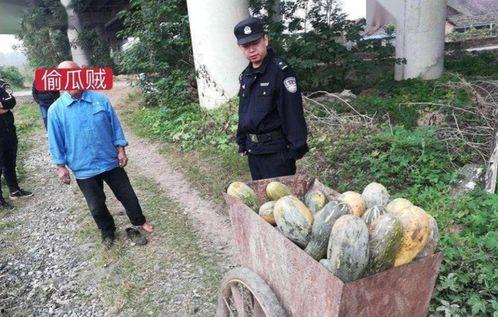 宜良吃瓜事件真相视频完整版,揭秘真相背后的惊人内幕 第2张 宜良吃瓜事件真相视频完整版,揭秘真相背后的惊人内幕 第2张