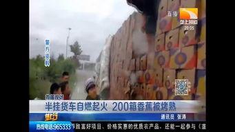 宜良吃瓜事件真相视频完整版,揭秘真相背后的惊人内幕 第3张 宜良吃瓜事件真相视频完整版,揭秘真相背后的惊人内幕 第3张