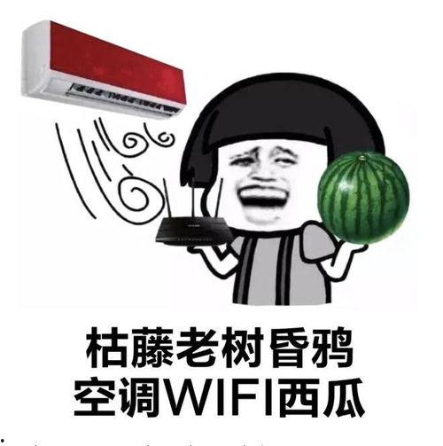 外国人看吃瓜自由视频网站,揭秘网络舆论场的新现象 第2张 外国人看吃瓜自由视频网站,揭秘网络舆论场的新现象 第2张