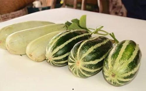 各种网红吃瓜视频,盘点那些让人捧腹的瓜界风云  第3张