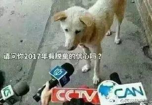 吃瓜群众卧槽视频,揭秘背后故事