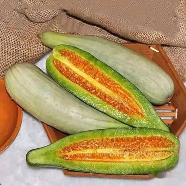 网红吃长蒲瓜的视频大全,趣味视频大盘点！